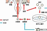 赴日本进行试管婴儿，整体费用和隐藏成本你都知道吗？