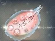 到泰国做试管婴儿要多少钱？费用价格攻略!