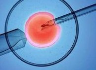 输卵管积水想去做试管婴儿做得了吗？